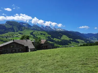 a house on a grassy hill with mountains in the background at Ferienwohnung Schafbergblick in Wildhaus