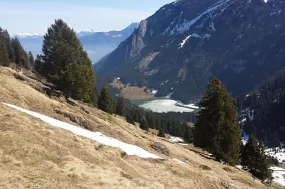 a view of a valley in the mountains with snow at HERZLI-CHALET über dem Rheintal mit Schlossblick in Werdenberg
