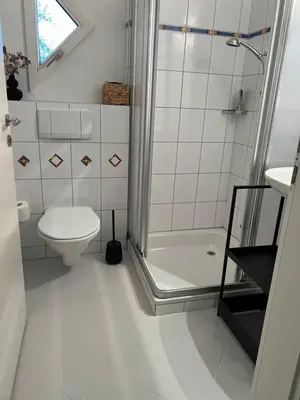 a white bathroom with a toilet and a shower at Black&White Apartment in Uzwil