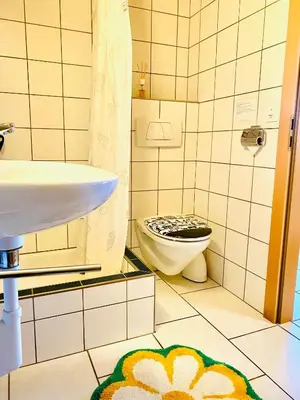 a bathroom with a toilet and a sink at Birkenhof, Haus Schwänli in Herisau