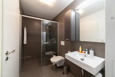 a bathroom with a sink and a toilet and a shower at Rietgarten in Wildhaus