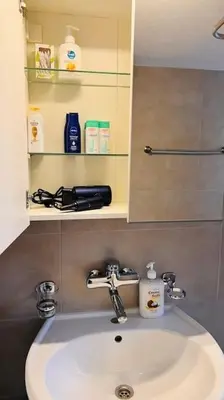 a bathroom with a white sink and a mirror at Cresta Apartment in St. Gallen
