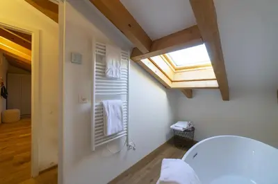 a bathroom with a skylight and a window at Gamsalpblick in Wildhaus