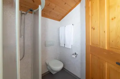 a bathroom with a toilet and a shower at Nuessli in Wildhaus