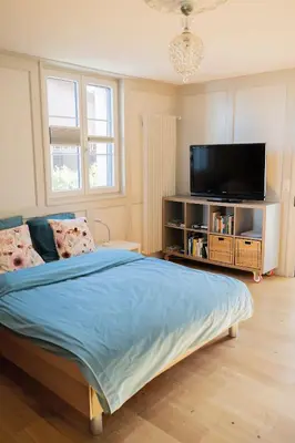 a bedroom with a bed and a flat screen tv at Seesicht und charmante Wohnung bei Hanni und Ueli in Bottighofen