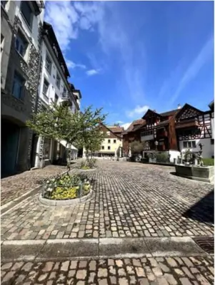 a street with cars parked on the side of the road at Sonniges Bodensee-Balkonidyll in Arbon