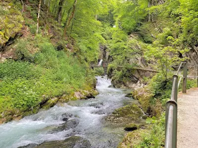 a river with a bridge in the middle of a forest at Rietidylle mit atemberaubendem Blick auf die Churfirsten in Wildhaus