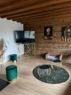 a living room with two chairs and a television at Historische Stadtmauer mit Seeblick in Arbon