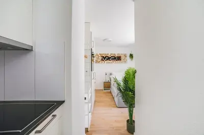 a kitchen with white cabinets and a potted plant at HRE Apartments St Gallen City Center in St. Gallen