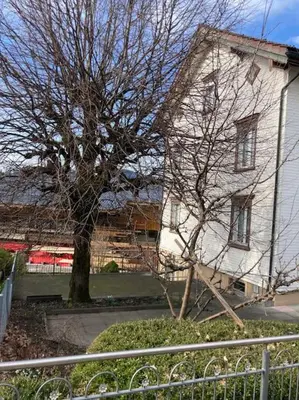 a house with a tree in front of a fence at 13 - Gästehaus Erika - Hundwil - Appenzellerland in Hundwil