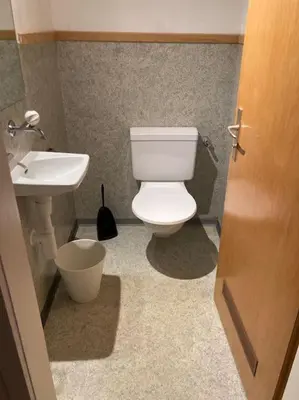 a bathroom with a white toilet and a sink at 19 - Gästehaus Erika - Hundwil - Appenzellerland in Hundwil