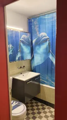 a bathroom with a dolphin shower curtain and a toilet at Wildhaus Ferienwohnung in Wildhaus