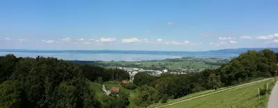 a view of a lake from a hill with trees at Bauernhaus Hinterbühle in Wolfhalden