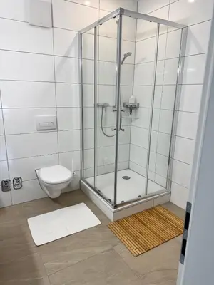 a bathroom with a shower and a toilet at Apartment im Zentrum St Gallen in St. Gallen
