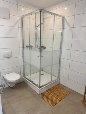 a glass shower in a bathroom with a toilet at Zentrales Apartment St Gallen an der Olma in St. Gallen