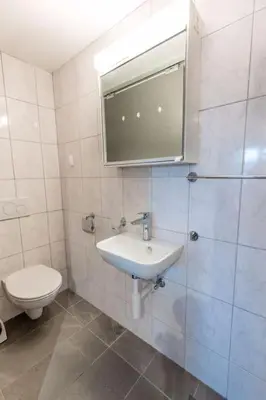a bathroom with a sink and a toilet at Nachhaltig Wohnen im 1, Stock, gratis Parkplatz! in St. Gallen