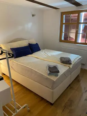 a bedroom with a large bed with blue pillows at Zentrales Schloss Apartment in Arbon