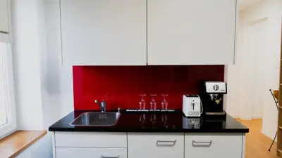 a kitchen with a sink and a red wall at Ninety Apartments in St. Gallen