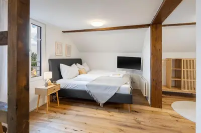 a bedroom with a large bed and a tv at Klara 1033 - Olma, Spital, Uni St- Gallen in St. Gallen