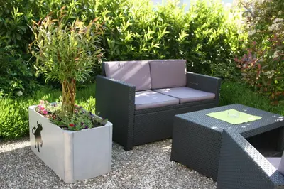 a patio furniture and a table and a potted plant at Hotel Garni Frohsinn in Uttwil