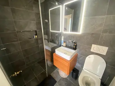 a bathroom with a sink and a toilet and a mirror at Mountain View luxury up to four persons in Diepoldsau