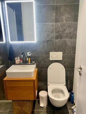 a bathroom with a white toilet and a sink at Mountain View luxury up to four persons in Diepoldsau