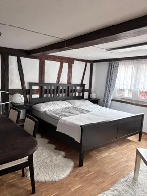 a bedroom with a large bed and a chair at Im Herzen von Rebstein in Rebstein