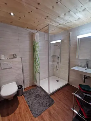 a bathroom with a shower and a toilet and a sink at Strickerhof in Hundwil