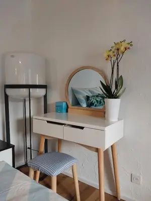 a white desk with a mirror and a potted plant at schickes gemütliches Studio in Bühler