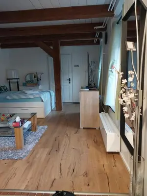a living room with a bed and a wooden floor at schickes gemütliches Studio in Bühler