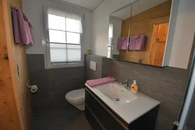 a bathroom with a sink and a toilet and a mirror at Haus Ritzlisjokes in Weissbad