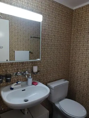 a bathroom with a sink and a toilet and a mirror at 2,5 Zimmer Ferienwohnung in Bühler, Nähe Appenzell in Bühler