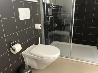 a bathroom with a toilet and a shower at Gästehaus Meiersegg - HotelFlawil in Flawil