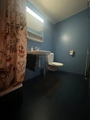 a bathroom with a sink and a toilet and a shower curtain at Kugelgasse Apartments - Smart Living by Klang und Kleid in St. Gallen