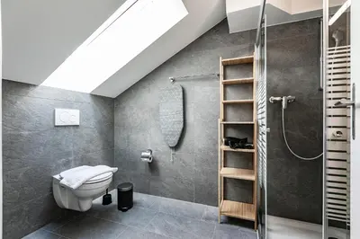a bathroom with a toilet and a shower at book2stay - Apartments Spisertor in St. Gallen