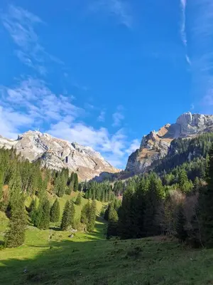 a green field with trees and mountains in the background at Eigenen Unterkunft I Vierländereck I Natur I St Gallen in Rebstein