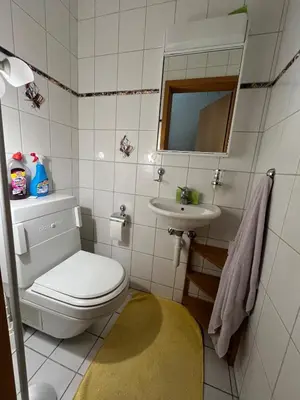 a bathroom with a toilet and a sink at Holiday home with pool & dream view over Lake Constance in Rorschacherberg
