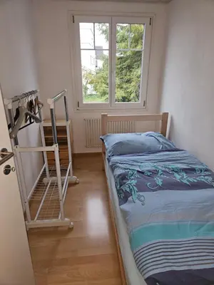 a bedroom with a bed and a ladder next to a window at Holzchalet mit Garten in Egnach