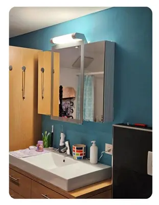 a bathroom with a white sink and a blue wall at Holzchalet mit Garten in Egnach