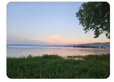 a body of water with a tree in the foreground at Holzchalet mit Garten in Egnach