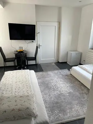 a bedroom with a bed and a flat screen tv at 1-room studio apartment in St. Gallen