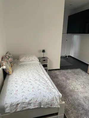 a bedroom with a bed and a tv in it at 1-room studio apartment in St. Gallen