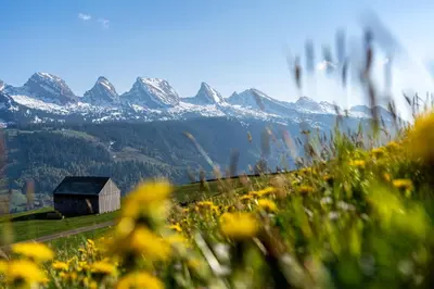 a barn in a field with mountains in the background at Ferienwohnung mit Sauna in Wildhaus in Wildhaus