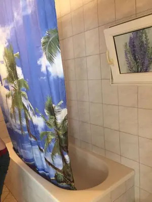 a bathroom with a shower curtain with palm trees at 3 Zi Gartenwohnung in Buchs