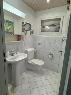 a bathroom with a toilet and a sink at 3 Zimmerwohnung mit Gartenterrasse, mitten im idyllischen Gais für 1 bis 3 Personen in Gais
