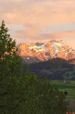 a painting of a snow covered mountain with trees at Apartment Kleines Loft by Interhome in Gais