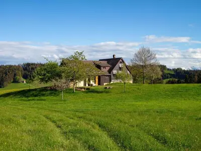 a house in the middle of a green field at Holiday Home Fromsenrüti by Interhome in Walzenhausen