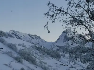 a snow covered mountain range with trees and a branch at Apartment Bijou by Interhome in Alt Sankt Johann