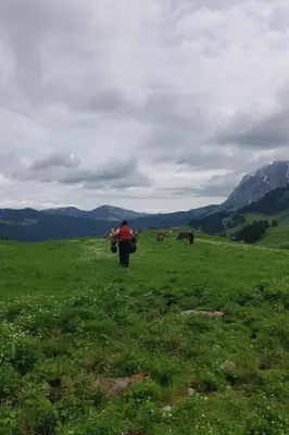 a man is walking in a field with cows at Apartment Ferien im Gugger - Wohnung Stockberg by Interhome in Nesslau