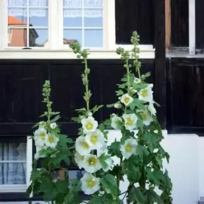 Holiday Home Ferien in der Vogelherd by Interhome